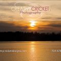 Creative Cricket Photography