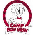 Camp Bow Wow Cincinnati Dog Training