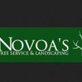 Novoa’s Tree Service & Landscaping