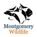 Montgomery Wildlife Removal