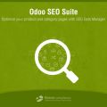 Odoo SEO Suite App