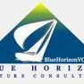 Blue Horizon Venture Consulting