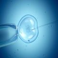 IVF Success Rates - Egg Donor Program in India with Indian Medguru