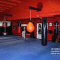 Punch Boxing for Fitness