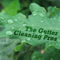 Indianapolis Gutter Cleaning