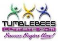 Tumblebees Ultimate Gym