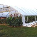 Cultivate Hydroponic & Organic Garden Center