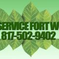 Tree Service Fort Worth