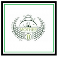 Mother B Green Cleaning Company