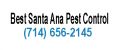 Best Santa Ana Pest Control