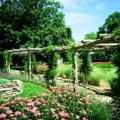 Creative Gardens- Landscape Designer Architect