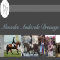 Mercedes Andazola Dressage Llc