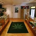 Livegreen Cannabis