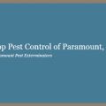 Top Pest Control of Paramount