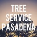 Tree Service Pasadena