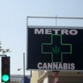 Metro Cannabis Dispensary