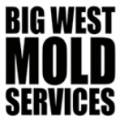 Big West Mold Services