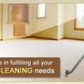Bay Area Carpet Cleaning Experts