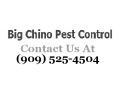 Big Chino Pest Control