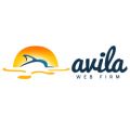 Avila Web Firm