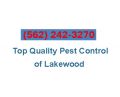 Top Quality Pest Control of Lakewood