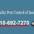 Top Quality Pest Control of San Pedro