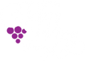 Off The Vine Wine Tours