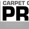 Carpet Cleaning Pros