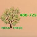 Mesa Trees