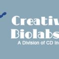 Creative Biolabs