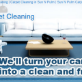 Sun N Plum Carpet Cleaning