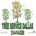 Tree service Dallas