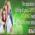 Paradise Carpet Cleaning Experts