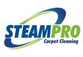 SteamPro Carpet Cleaning