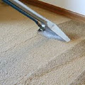 Affordable Carpet Cleaning Paradise