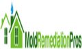 Mold Remediation Pros – Indianapolis
