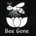 Bee Gone: Bee Removal Service