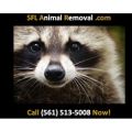 South Florida Animal Removal Services