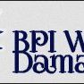 BPI Water Damage