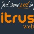 Citrus Kiwi Web Solutions