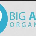 Big Apple Organizers Professional Organizers