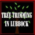Tree Trimming in Lubbock