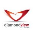Diamond View Studios