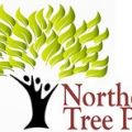 Northeast Tree Pros