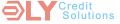 DLY Credit Solutions