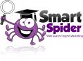 Smart Spider