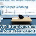 Evergreen Affordable Carpet Cleaning