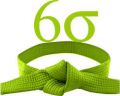 Six sigma green belt training