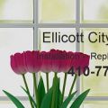 Ellicott City Windows
