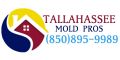 Tallahassee Mold Pros